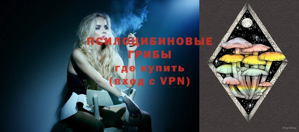 гидропоника Абаза